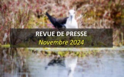 Revue de Presse Novembre 2024